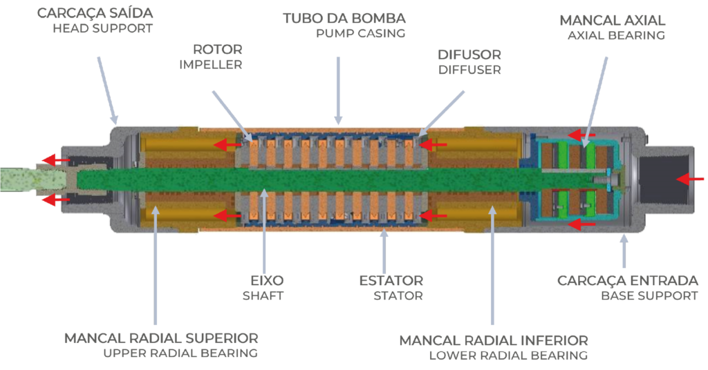 Principais componentes | BVP - Bomba Vortex Progressiva