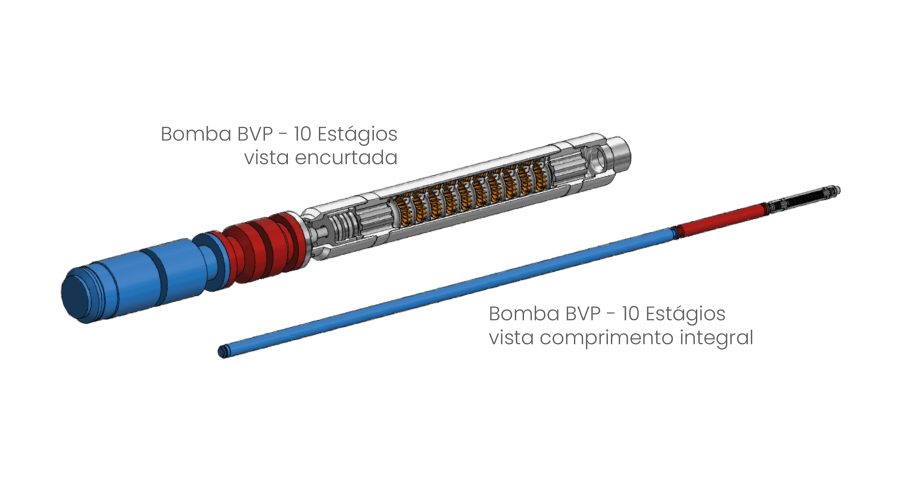 Conceito - BVP